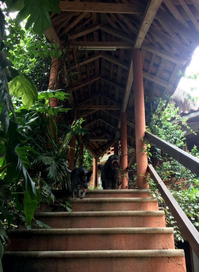 Hotel Casa H Rinconcito Mazunte Esterno foto